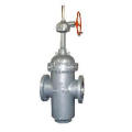 Gate Valve